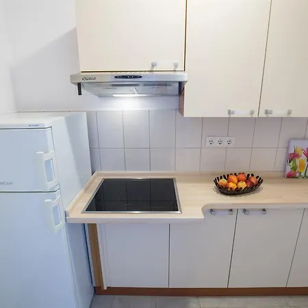 Apartment Rakic Zavala